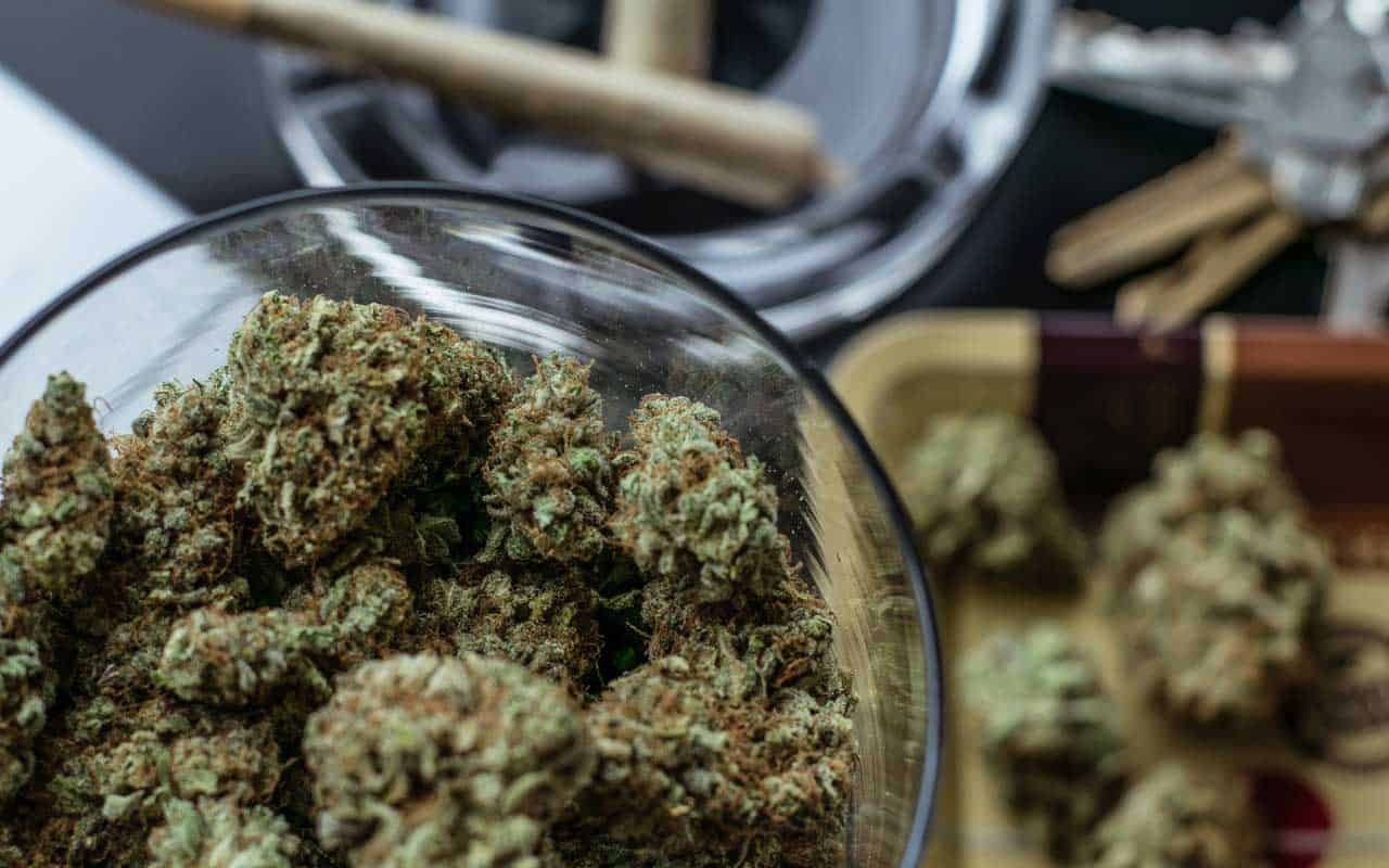 Premium edibles vs Affordable Weed | BC Weed Edible Canada