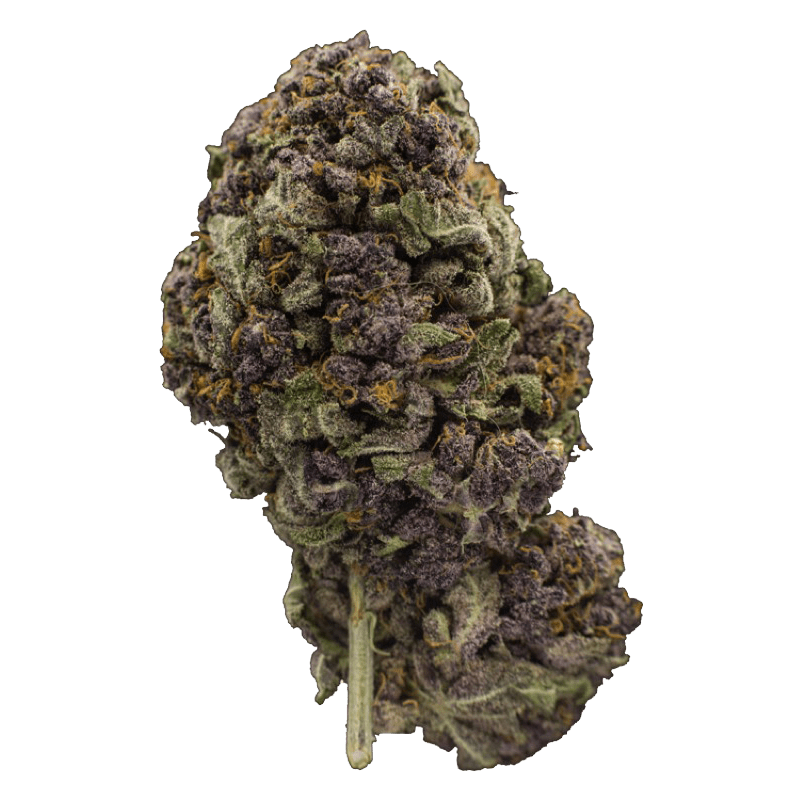 Red Poison | BC Weed Edible Canada Red Poison | BC Weed Edible Canada