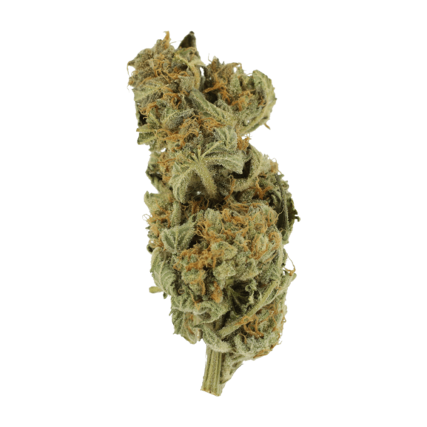 Gorilla Glue | BC Weed Edible Canada Gorilla Glue | BC Weed Edible Canada