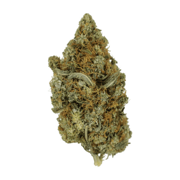 Jack Herer 1 Ounce | BC Weed Edible Canada