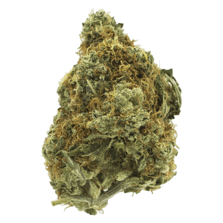 Cappuccino 420 | BC Weed Edible Canada Cappuccino 420 | BC Weed Edible Canada