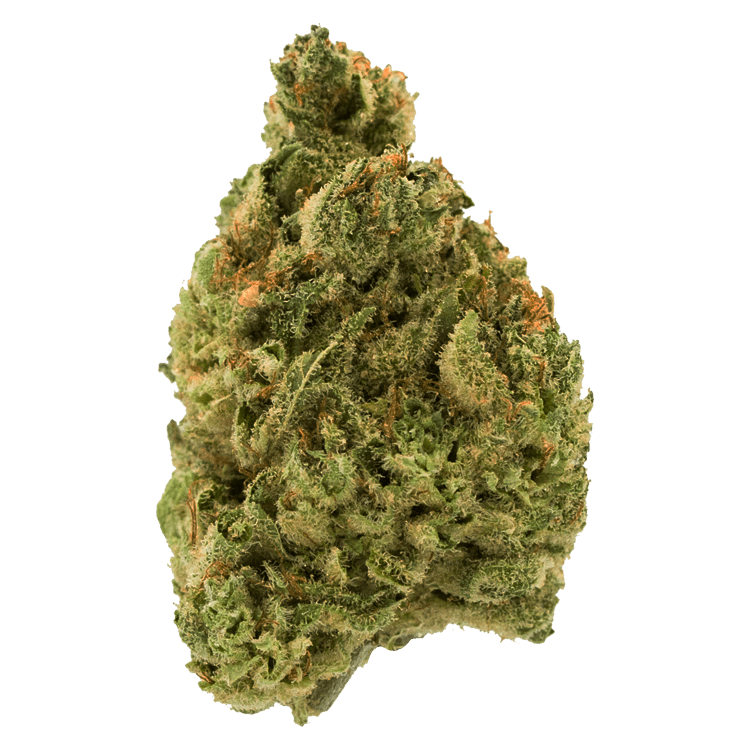 Durban Poison | BC Weed Edible Canada Durban Poison | BC Weed Edible Canada