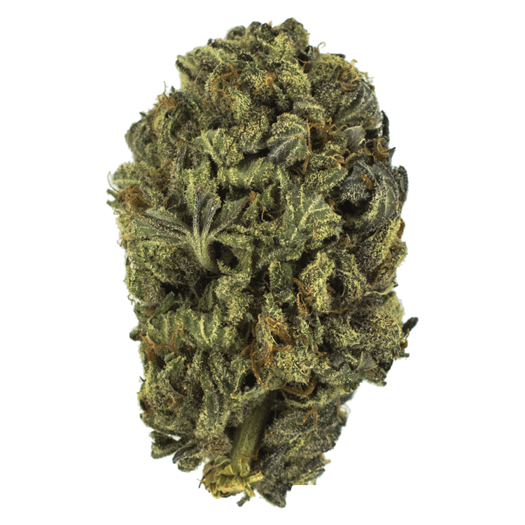 King Kush (Greenhouse) – 1 ounce | BC Weed Edible Canada King Kush (Greenhouse) – 1 ounce | BC Weed Edible Canada