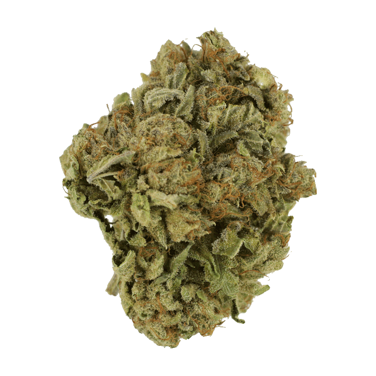 White Castle | BC Weed Edible Canada White Castle | BC Weed Edible Canada