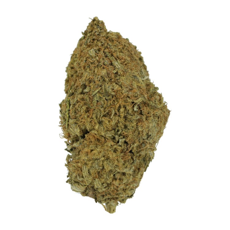 Dosi Dos | BC Weed Edible Canada Dosi Dos | BC Weed Edible Canada