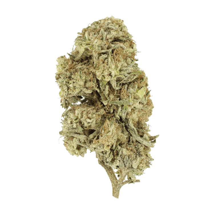 Cherry Wine (CBD) | BC Weed Edible Canada Cherry Wine (CBD) | BC Weed Edible Canada