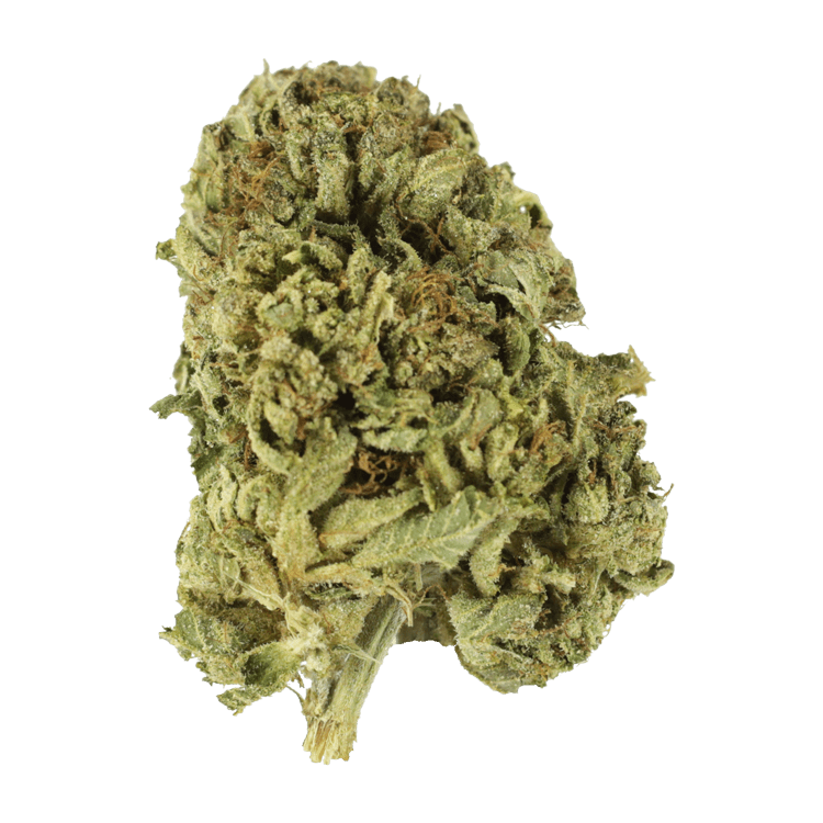 Strawberry Romulan | BC Weed Edible Canada Strawberry Romulan | BC Weed Edible Canada