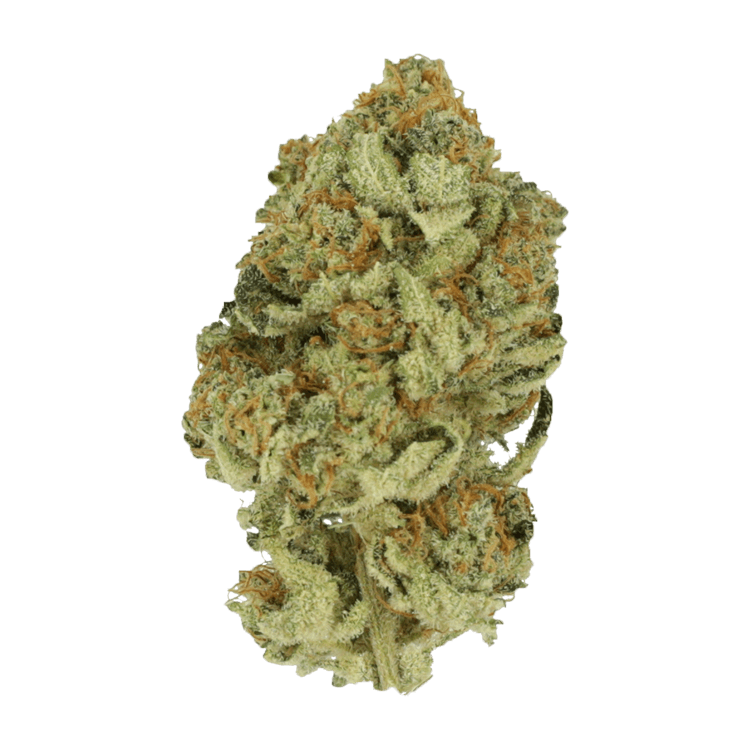 Black Cherry Punch | BC Weed Edible Canada Black Cherry Punch | BC Weed Edible Canada