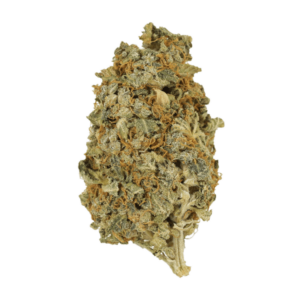 Mint Cookies | BC Weed Edible Canada