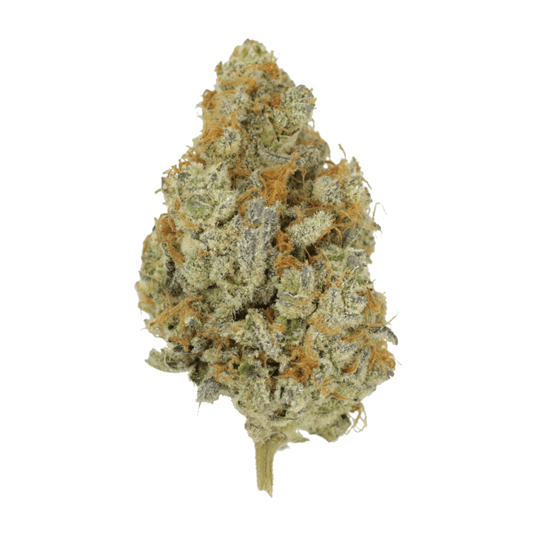 Peanut Butter Rockstar | BC Weed Edible Canada Peanut Butter Rockstar | BC Weed Edible Canada