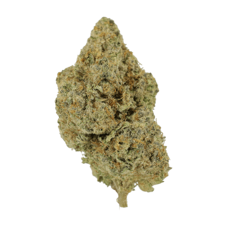 Wookies | BC Weed Edible Canada Wookies | BC Weed Edible Canada