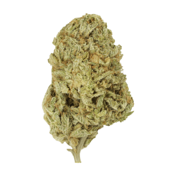 Face Mints | BC Weed Edible Canada