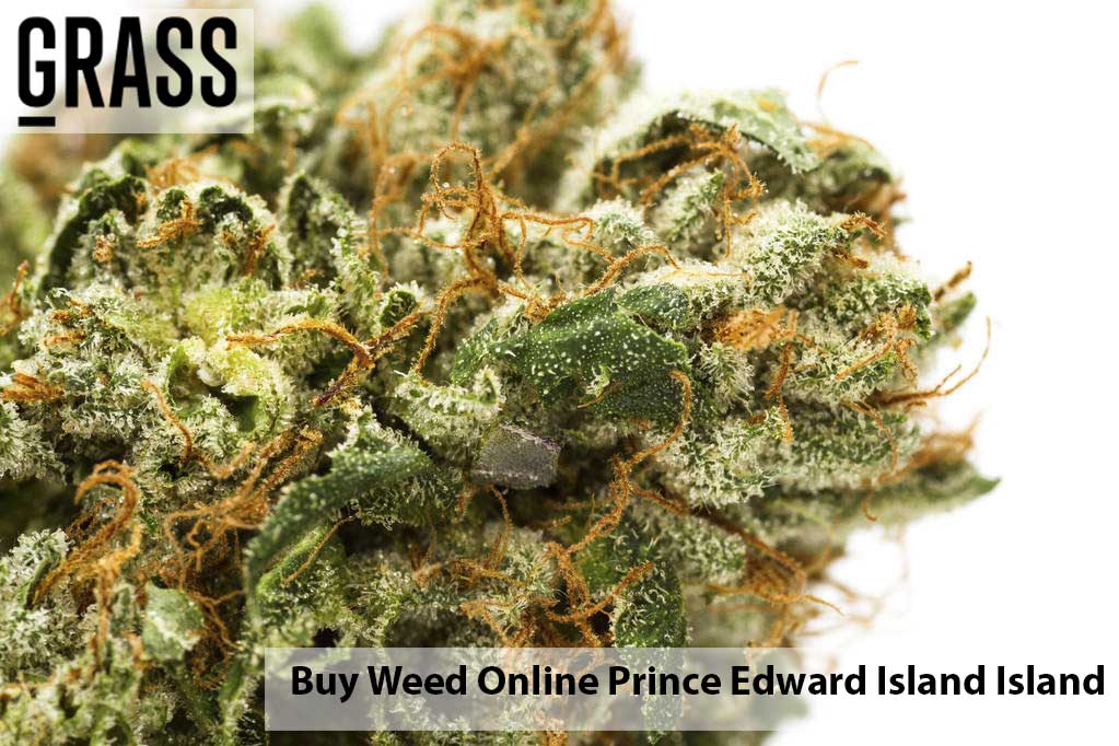 Buy edibles Online Prince Edward Island